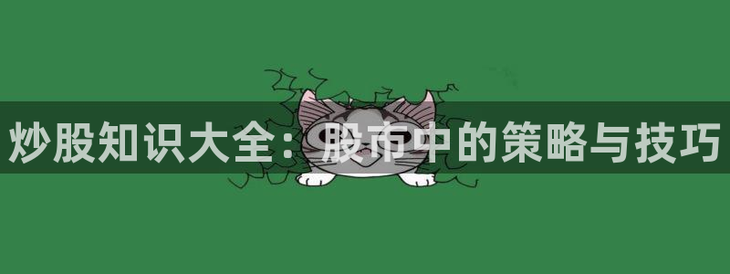 笔趣书阁高h：炒股知识大全：股市中的策略与技巧