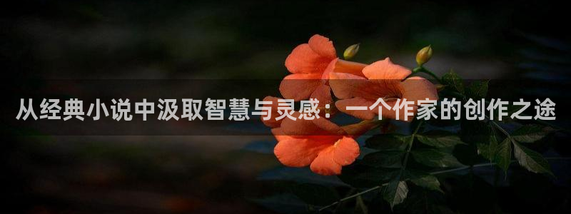 80小说下载网站 免费下载完结趣书网：从经典小说中汲取智慧与灵感：一个作家的创作之途